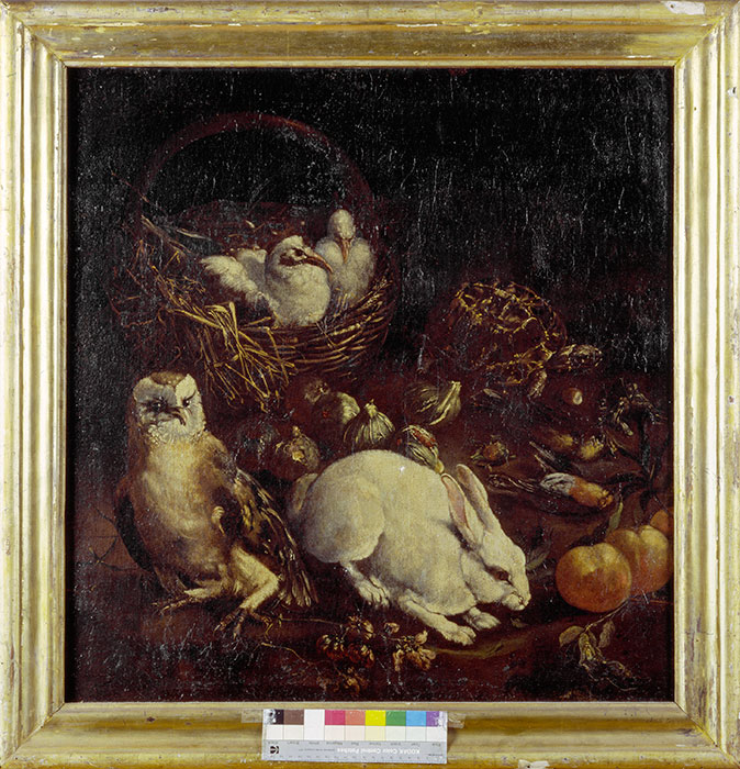 Christie's — Autore non indicato - sec. XVII - Coniglio, tartaruga, barbagianni e piccioni — insieme